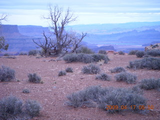 Canyonlands - Lathrop trail hike