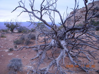 Canyonlands - Lathrop trail hike