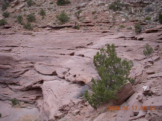 Canyonlands - Lathrop trail hike