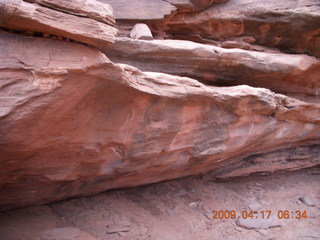 Canyonlands - Lathrop trail hike