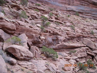 Canyonlands - Lathrop trail hike
