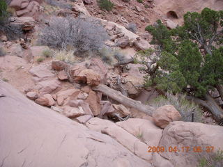 Canyonlands - Lathrop trail hike